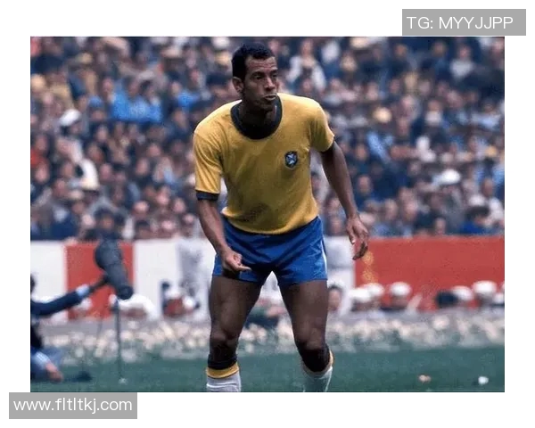 世界足坛最帅气的五大足球后卫球星盘点及个人魅力解析